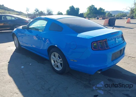 2013 Ford Mustang V6 z USA, uszkodzony, nr VIN 1ZVBP8AMXD5224211